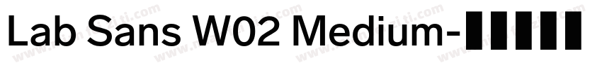 Lab Sans W02 Medium字体转换